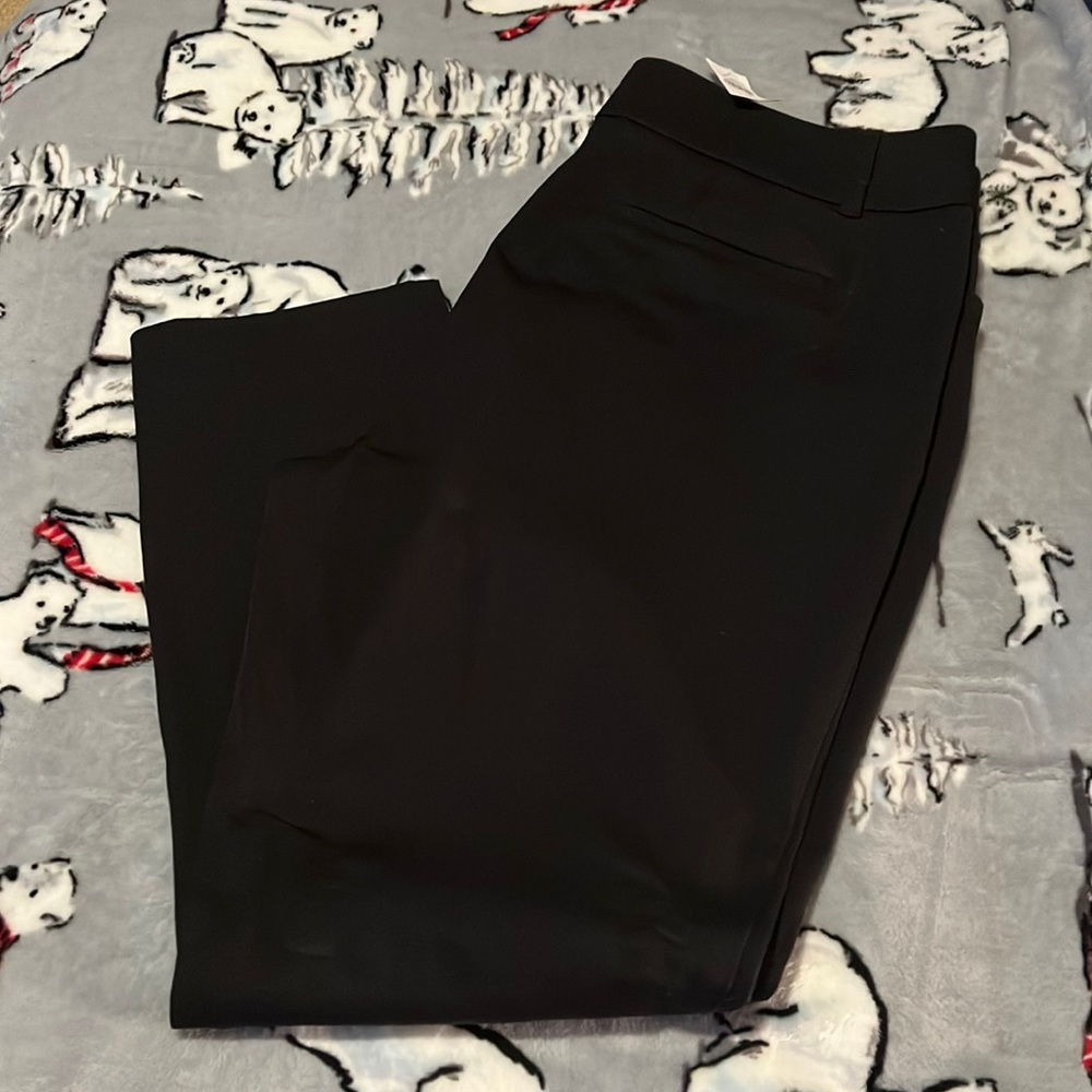 NWT Loft womens dress pants size 16
